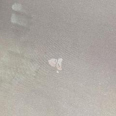 あげます、室内用  折り畳みチェアの画像