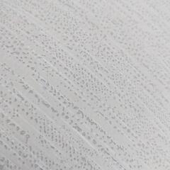 新鳥の子襖紙の画像
