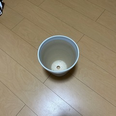 鉢の画像