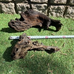②流木2個セット　熱帯魚などにの画像