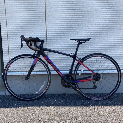 GIANT CONTED SC ブラック