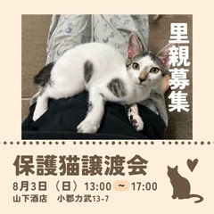 甘えん坊女子💞水玉ちゃん