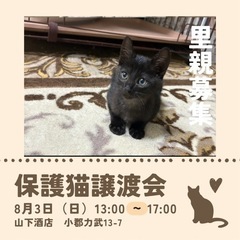 おもちゃ大好き😘クロ太郎🐾