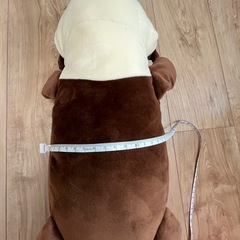 カワウソ　ぬいぐるみ　３点セット　大50cmくらい　ビッグ　BIGの画像