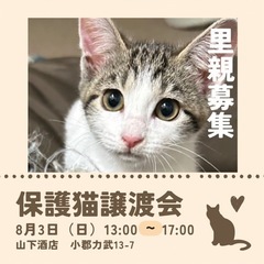 お目々ウルウル美猫ちゃん💞