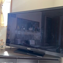 テレビの画像