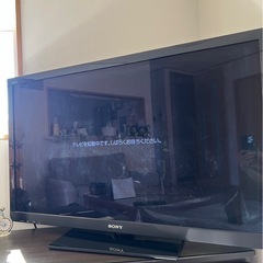 テレビの画像