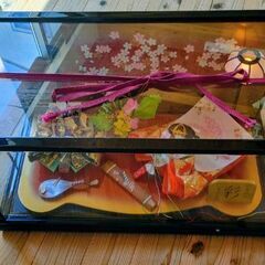 ケース入雛人形🌸　下見に是非どうぞ🌸🌸の画像
