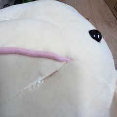 シーパラ　白イルカ　まんまる　大きい　ぬいぐるみ　の画像
