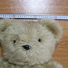 ★ぬいぐるみ くま★テディベア★の画像