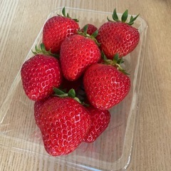 夏休み、化学基礎教えます