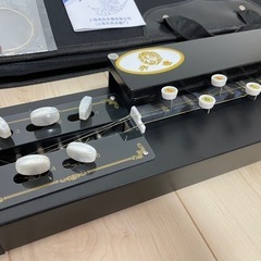 【新品】大正琴 初心者セット 入門セット ネット販売価格半額の画像