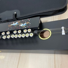 【新品】大正琴 初心者セット 入門セット ネット販売価格半額の画像