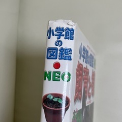 小学館の図鑑neo
の画像