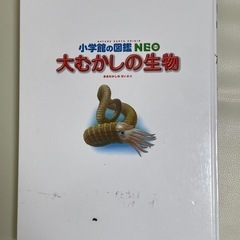 小学館の図鑑neo
の画像