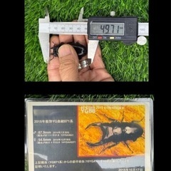 [国産オオクワガタNO:134]YG871系統  78ミリペアー の画像
