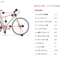 TREK FX2 サイズ22.5 ジャンク扱い 現状渡しの画像