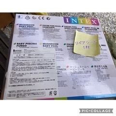 ビニールプールの画像