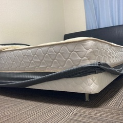 ブランドベッド（Sealy）ダブルサイズの画像