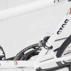 GIOS 「ジオス」  FELUCA 2024年モデル ミニベロの画像
