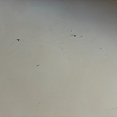 テーブルの画像