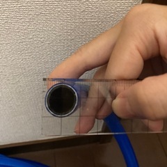 ホースの画像