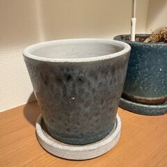 観葉植物 陶器セットの画像