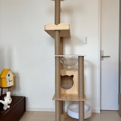 木製キャットタワー🐈の画像