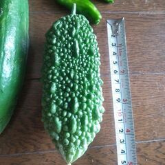 野菜の画像