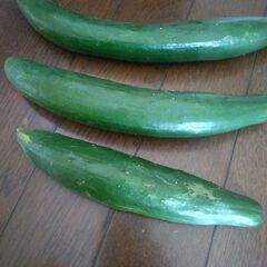 野菜の画像