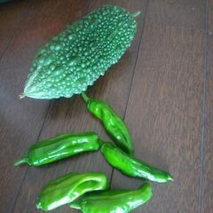 野菜の画像
