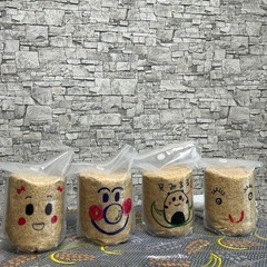 夏休み親子で作る❣️新感覚水素味噌作り教室の画像