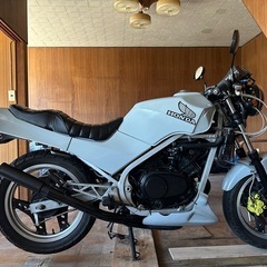 vt250f カスタム多数　vt250fe VT インテグラ　の画像
