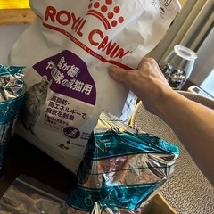 猫用品5点セットの画像