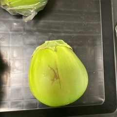 丸青茄子  長緑茄子の画像