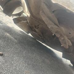 【取引中】【中古】畦道草刈り機　KIORITZ　農機具の画像