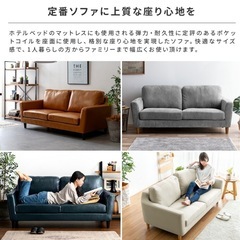 2.5名掛けローソファの画像
