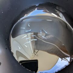 幹之メダカの若魚　写真のめだか　全部（15匹くらい）　の画像