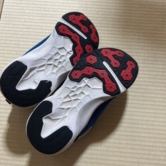 18センチ　青の画像