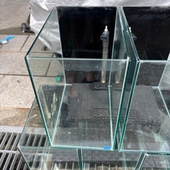 水槽の画像