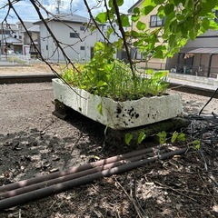 【急募‼️】レンガ　ブロック　等　の画像