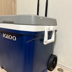IGLOOクーラーボックスの画像