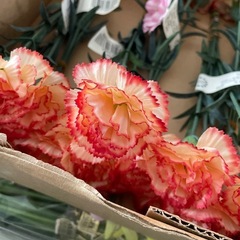 造花9 リトルカーネピックの画像