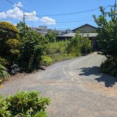 農作業や草むしりの手伝い