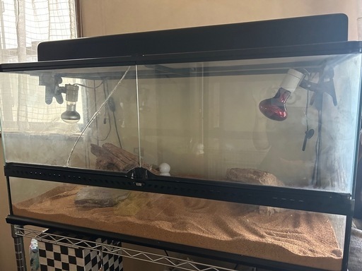 爬虫類飼育セット