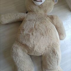 コストコ　大きなクマのぬいぐるみ　🎁おまけの画像