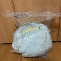 新品 アニマルクッション グリーンの画像