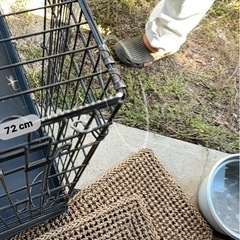 大型犬ケージ　トムキャット　今月中に手渡しの画像