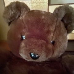 くまのぬいぐるみ特大の画像