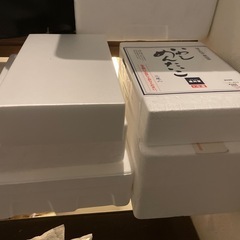 発泡スチロール・クーラーボックス・保冷箱・保冷剤の画像